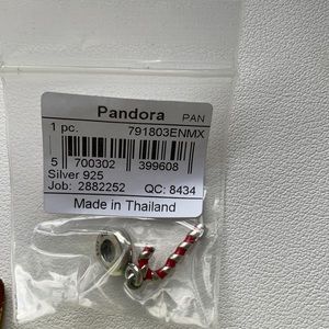 Pandora christmas charm